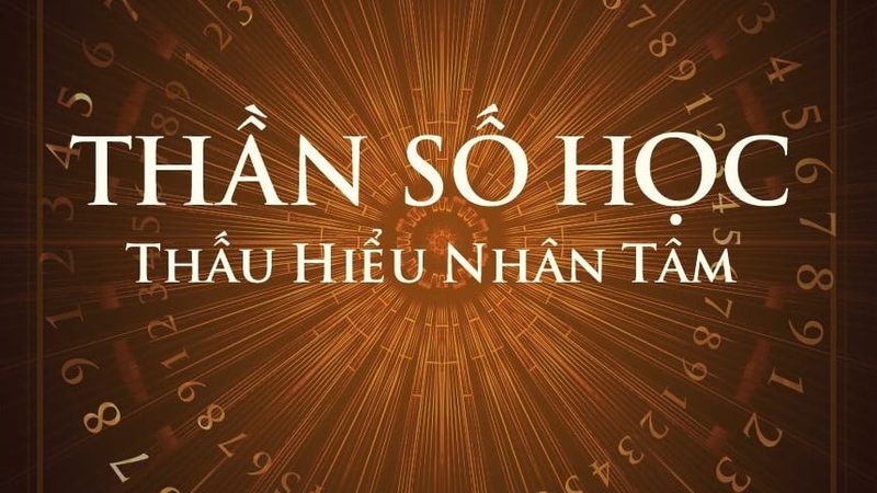 陶瓷瓷砖粘结材料：揭秘瓷砖胶厂家排名背后的逻辑